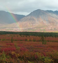 Alaska, where nature reigns supreme